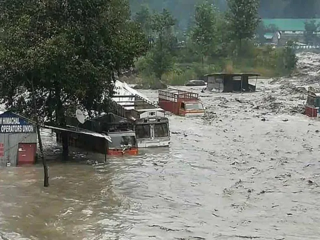shimla (1).jpg