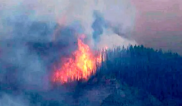rajouri fire 1.jpg