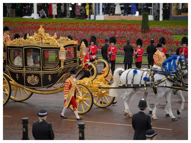 king charles 