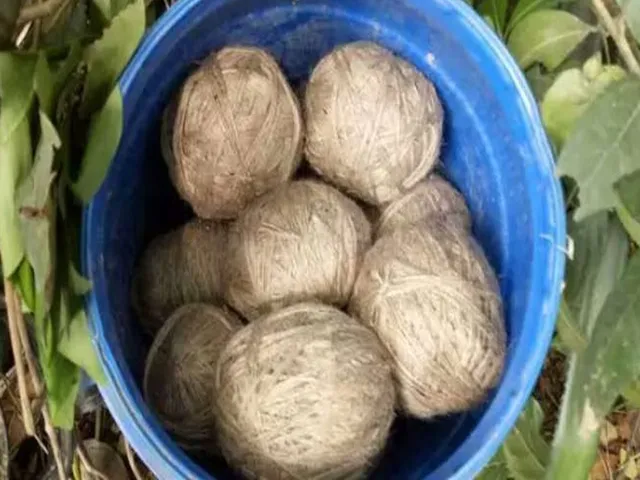 ১১১১১১১১