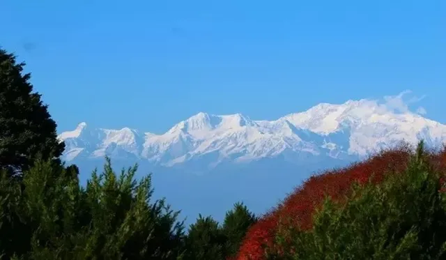 darjeeeling weather 1.jpg