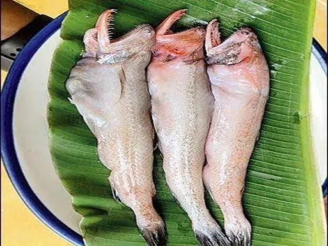 লোটে মাছে