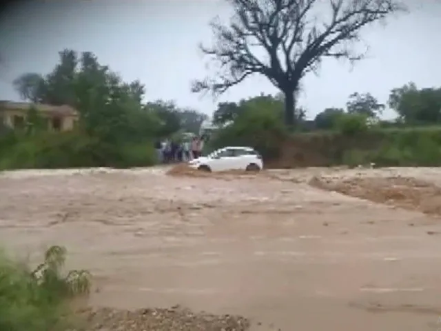 car 5.jpg