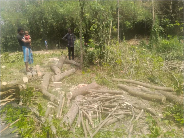 forest department medinipore.jpg