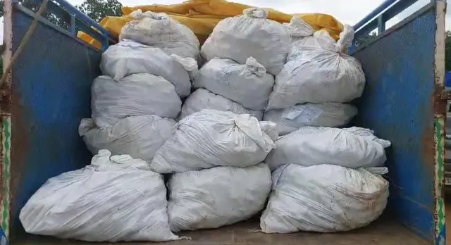 WhatsApp Image 2024-07-25 at 12.08.50 PM