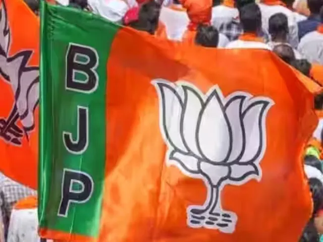 bjp raja.jpg