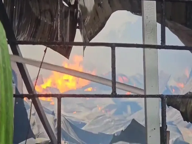 WhatsApp Image 2024-07-12 at 08.19.30 (2)