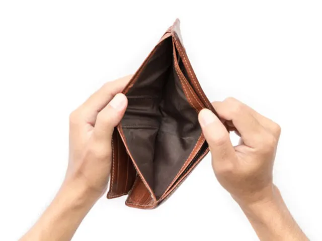 empty purse (1).jpg