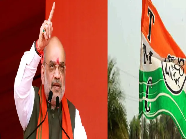 amit tmc.jpg