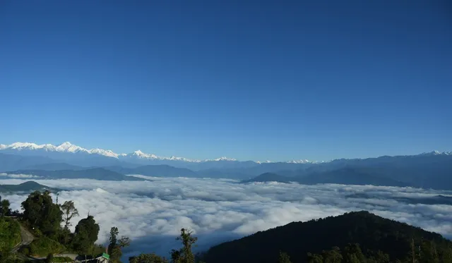 324730363_879295726594790_6672139007154557672_n (1).jpg