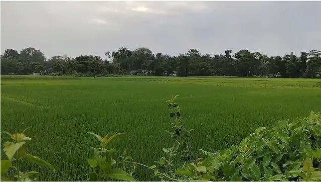 gfhuikio