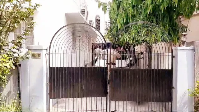 WhatsApp Image 2024-03-27 at 11.33.56.jpeg