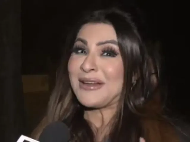 INDIGO PILOT HIT.jpg