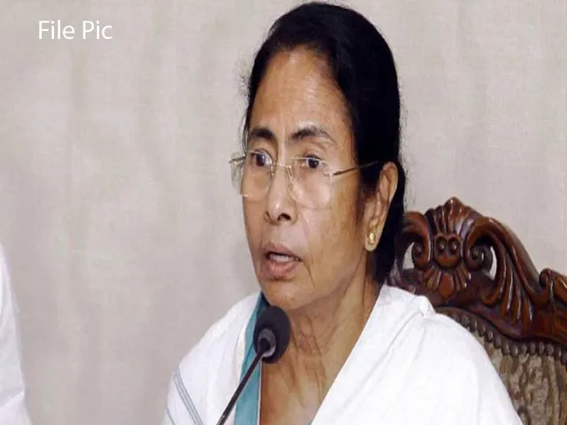 mamata flie.jpg