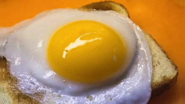 eggfusion-ezgif.com-crop