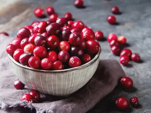 cranberries-101-732x549-thumbnail-732x549-ezgif.com-avif-to-jpg-converter.jpg