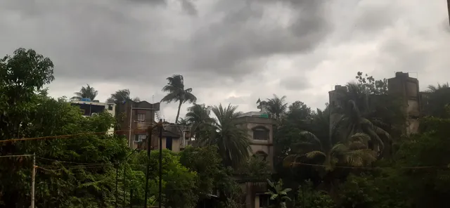 20230802_100303 ৎ.jpg