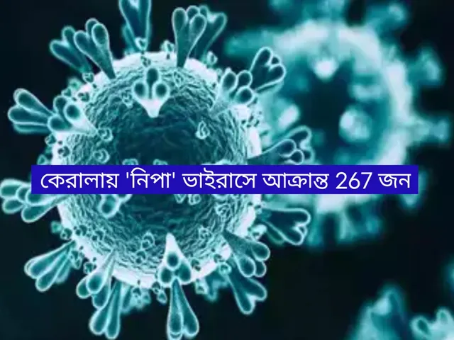 Nipa virus