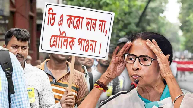 damamta1
