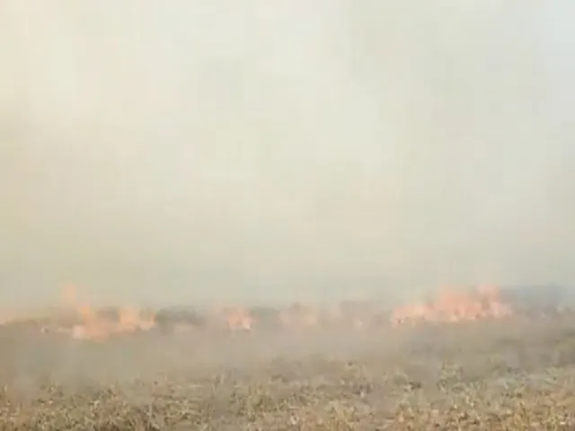 োোোোোোোো