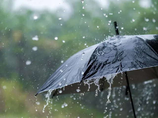 umbrella.jpg