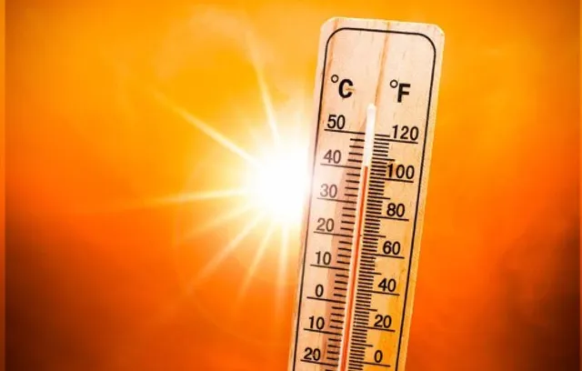 ব্জভবচভ 