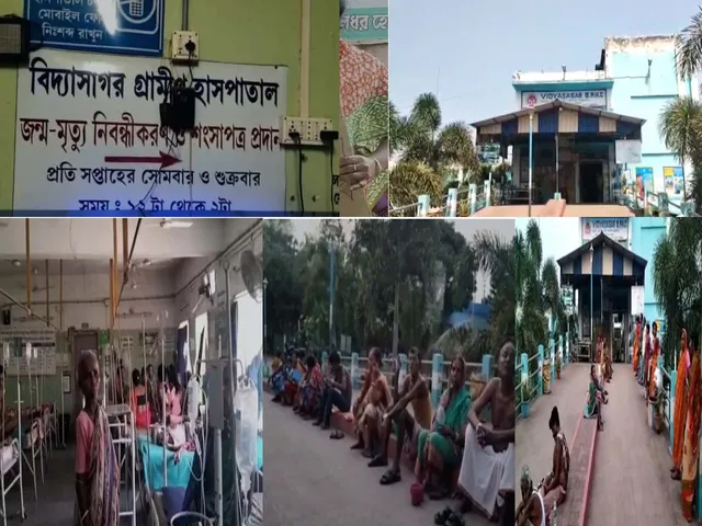 birsingha vidyasagar hospital