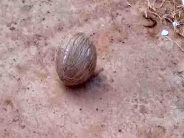 ১১২৩