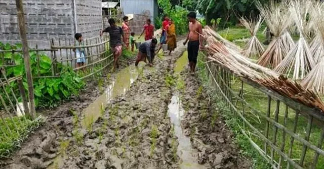 রাস্তা সারানোর দাবিতে চারা লাগিয়ে বিক্ষোভ