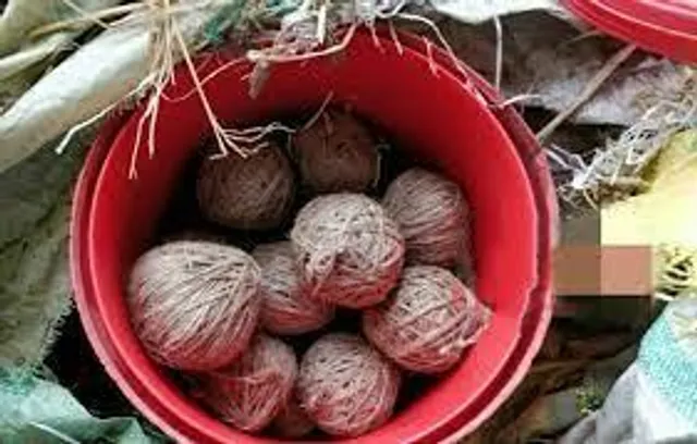 ফের বোমা উদ্ধার নানুরে