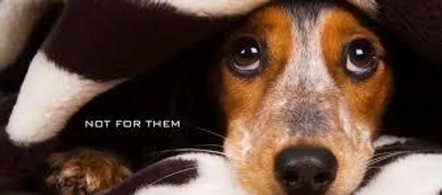 বন্ধ হোক পৈশাচিক উল্লাস!