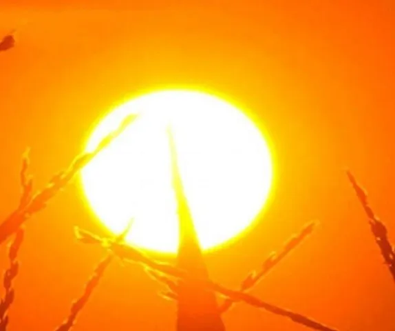 আজ কত তাপমাত্রা থাকবে দুই দিনাজপুরে?