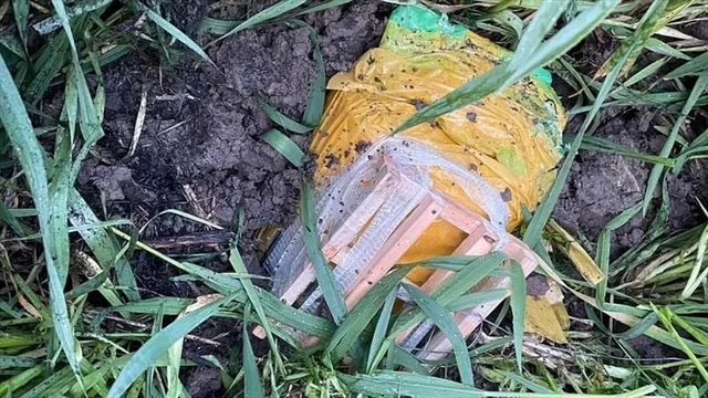 ফের সীমান্তে বাড়ছে ড্রোনের দৌরাত্ম্য!