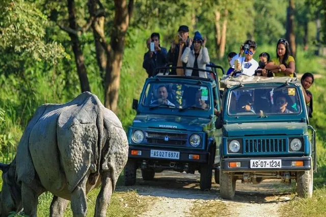 পুজোর মুখে ফের খুলে দেওয়া হল কাজিরাঙা ন্যাশনাল পার্ক