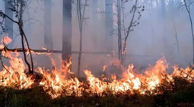 দাউদাউ করে জ্বলছে চেরনোবিল