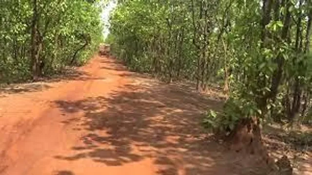 পুজোয় ঘুরে আসুন গড় জঙ্গল থেকে