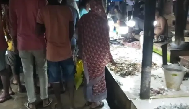 দীঘার বাজারে ইলিশের অভাব, দেখুন ভিডিও