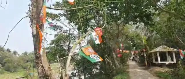 ভোটের রাজনীতিতে ক্ষতবিক্ষত গাছ গাছালিরাও