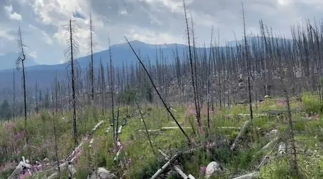 প্রাকৃতিক ও অপ্রাকৃতিক আগুন!