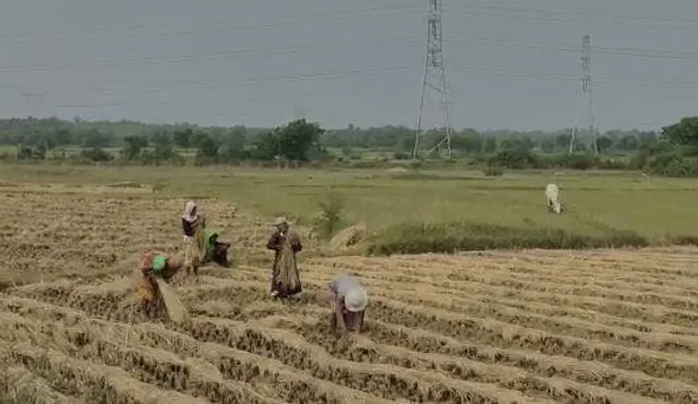 চাষিদের জন্য নতুন ভাবনা