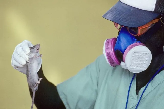 লাস্সা জ্বর কী? এর উপসর্গই বা কী?