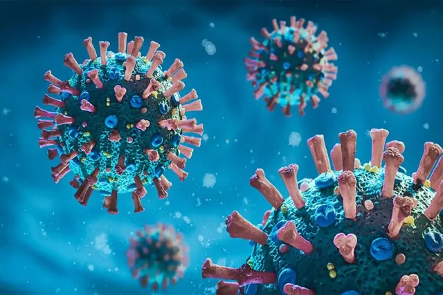 সপ্তাহান্তে বিপুল কমল মৃত্যু, দৈনিক আক্রান্তের সংখ্যা