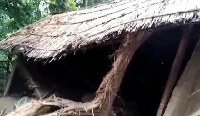 বুনো হাতির তান্ডবে ক্ষতিগ্রস্ত ৮টি বাড়ি