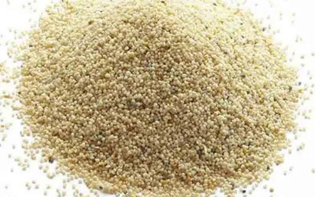 পোস্তর আকাশ ছোঁয়া দাম! রান্নায় পোস্তর পরিবর্তে ব্যবহার করুন এই তিন উপকরণ