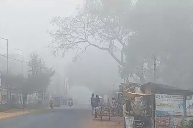 কুয়াশাচ্ছন্ন পশ্চিম মেদিনীপুর, রইলো ভিডিও