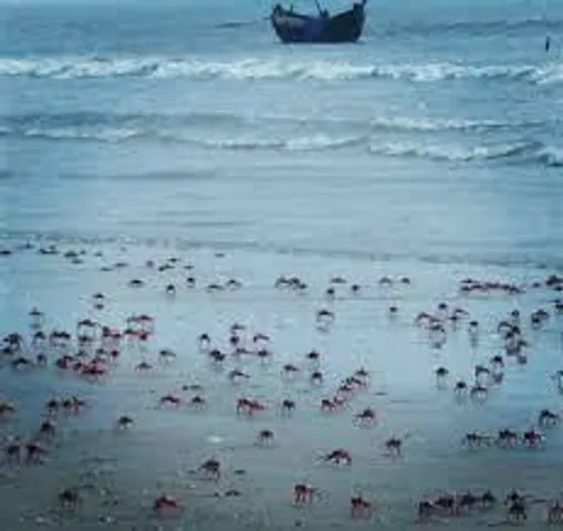 পেতে ভালো থাকার খনি, আসুন মন্দারমণি