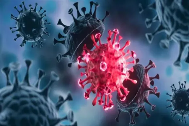 আতঙ্ক! ফের নতুন ভাইরাস