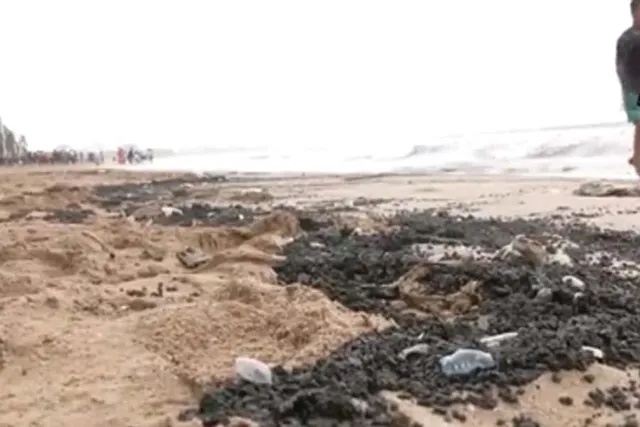 জুহু সৈকতে দেখা মিলল জেলিফিশের, দেখুন ভিডিও