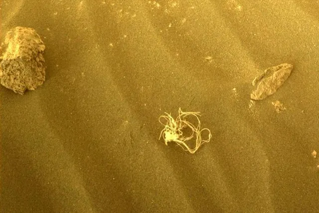 মঙ্গলে অদ্ভুত কিছু খুঁজে পেয়েছে NASA