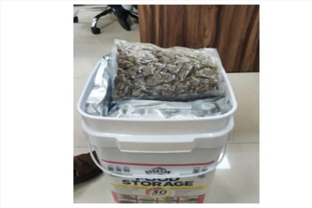 আন্তর্জাতিক মাদক চোরাচালান চক্রর সন্ধান পেয়েছে DRI